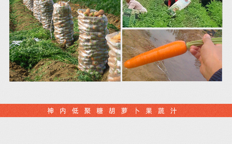 胡萝卜汁详情页设计