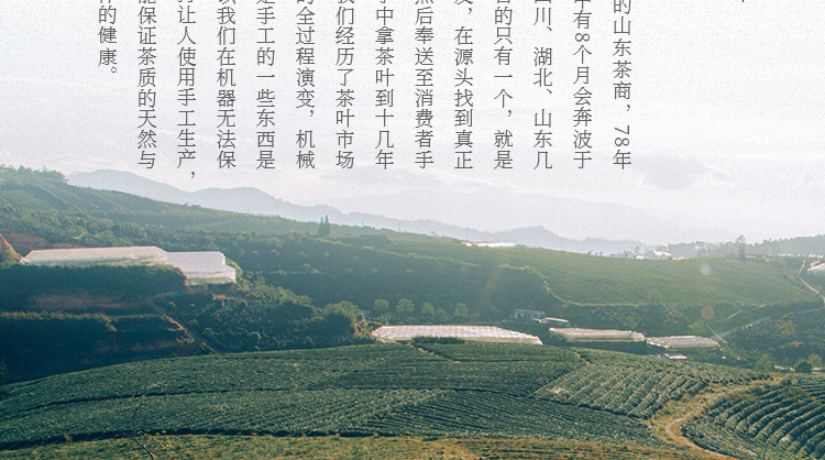 茉莉花茶详情页设计